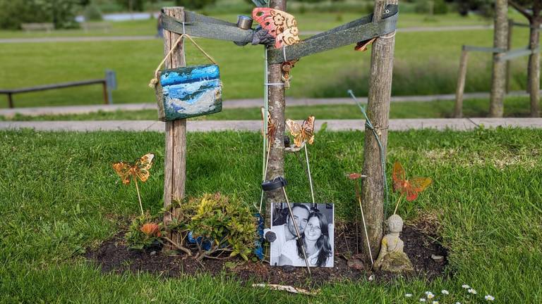 De boom van Astrid Hornikx uit Goirle bij het Nationaal Monument in Vijfhuizen (foto: Ferenc Triki).