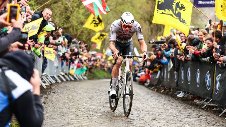 Mathieu van der Poel soleert naar de overwinning in de Ronde van Vlaanderen (Foto: ANP)