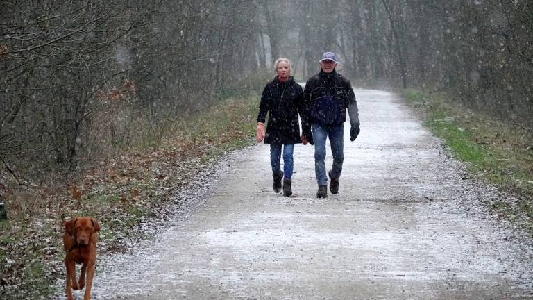 De hond uitlaten bij een beetje winters weer (archieffoto: Ben Saanen).