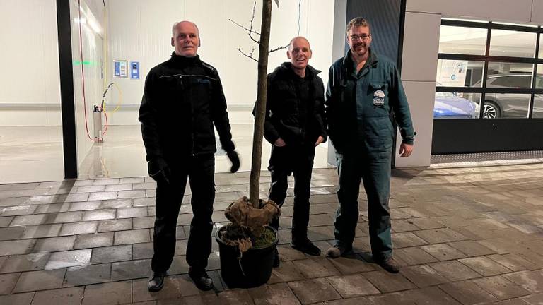 Henri en Huib doneerden deze boom (foto: Henri Lanters).