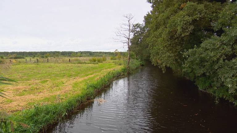 Ziek na maaien van oevers: waterschap waarschuwt voor chemische stoffen
