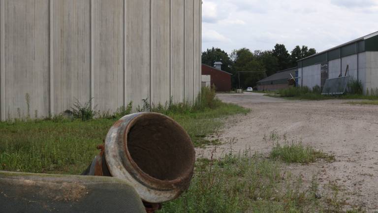 Het terrein van Jennissen aan de Loosbroekseweg in Nistelrode. 