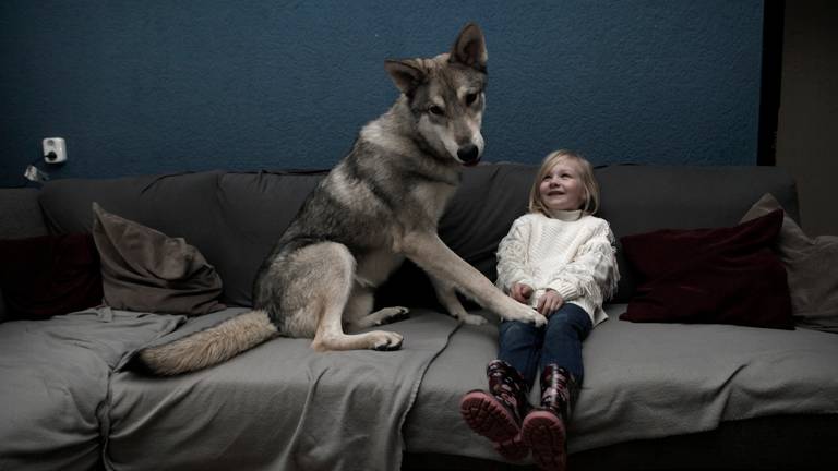 Selena en haar wolfhond Mateo die nooit van haar zijde wijkt (Foto: Marielle van Uitert)