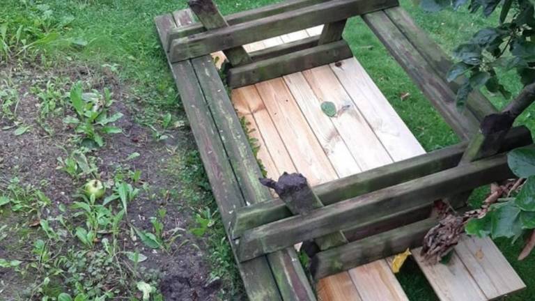 Vernielingen bij kinderopvang De eerste Stap aan de Stationssingel in Ravenstein. (foto: Instagram wijkagent Herpen-Ravenstein).