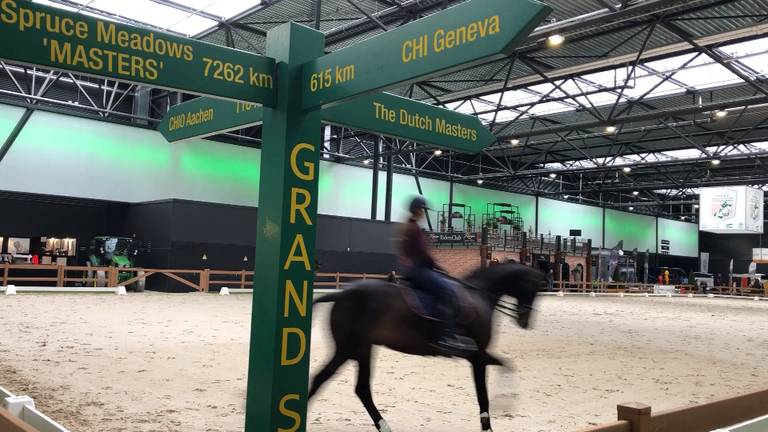 Toch paardensport in de Brabanthallen?