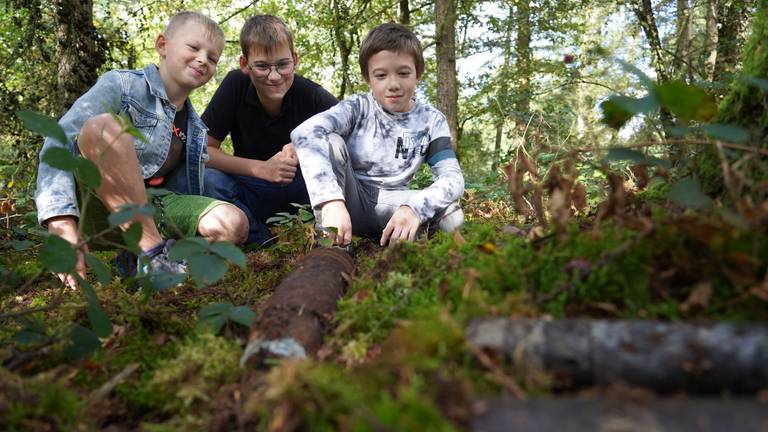 Spelende kinderen vinden explosieven in bos, EOD ingeschakeld