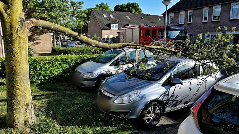Een dikke tak is maandagavond in Oisterwijk spontaan afgebroken van een boom. Het gevaarte kwam terecht op een auto, die geparkeerd stond aan de Huysacker. Gelukkig zat er niemand in. De brandweer en de gemeente hebben de tak in mootjes gehakt en verwijde