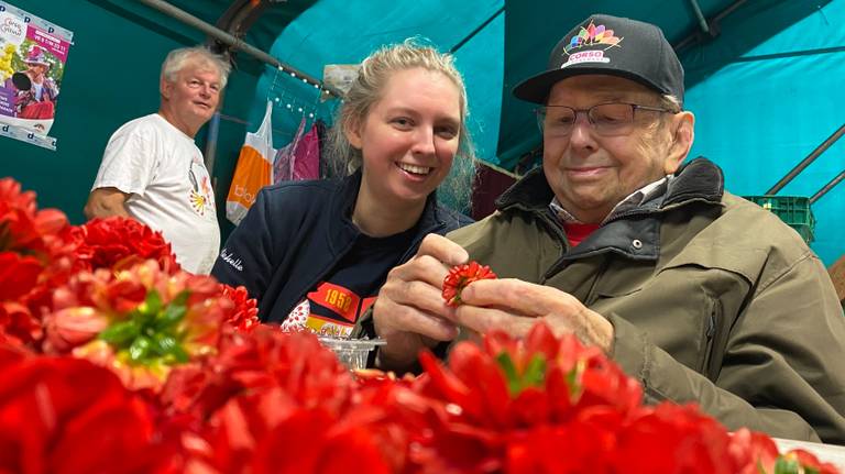 Michelle (26) en opa Michel (85) prikken dahlia's voor bloemencorso Valkenwaard (foto: Jan Peels).