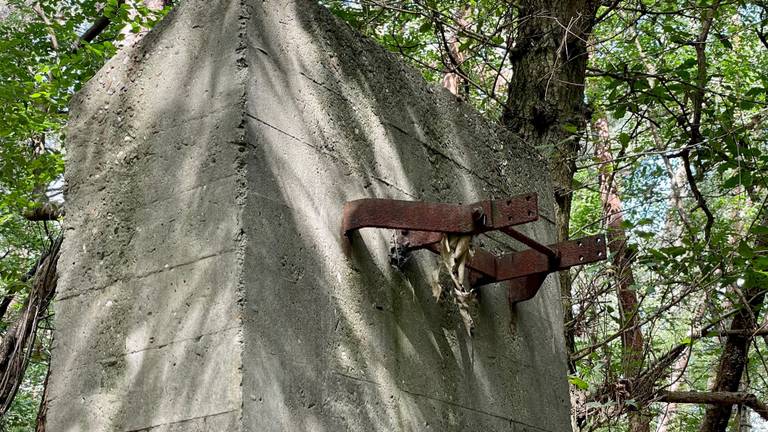 Het bouwwerkje in het Rucphense bos