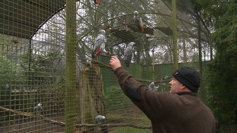 Zoo Veldhoven te koop, dit krijg je voor vijf miljoen euro