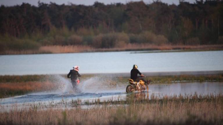 De onverlaten op de Strabrechtse Heide (foto: Maurice van de Waarsenburg).