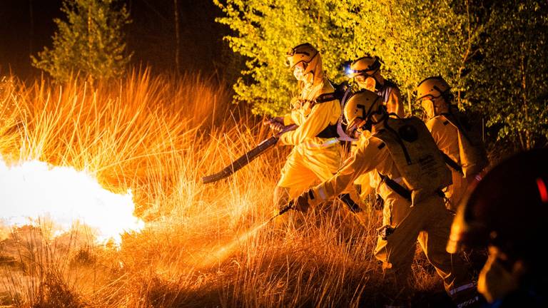 De handcrew uit Overijssel in actie bij de Peelbrand in 2020 (foto: SQ Vision/Sem van Rijssel).