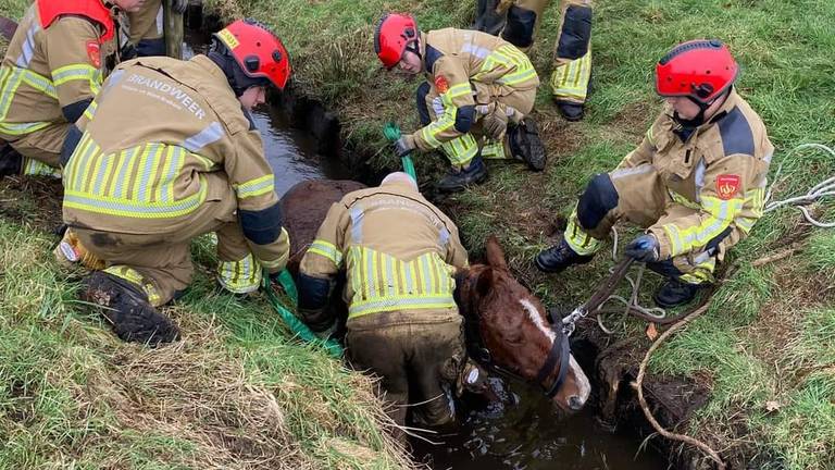 Foto: brandweer Oudenbosch.