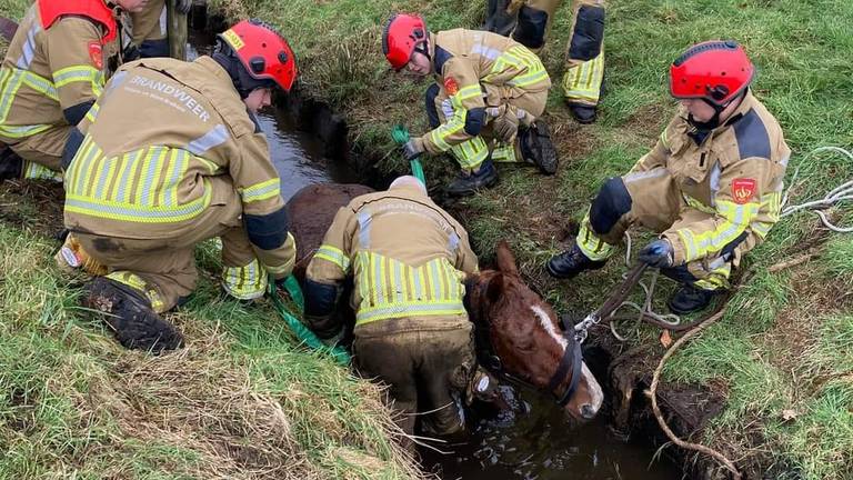 Foto: brandweer Oudenbosch.