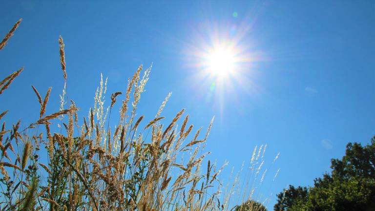 De brandende zon (foto: Jolanda Pelkmans).