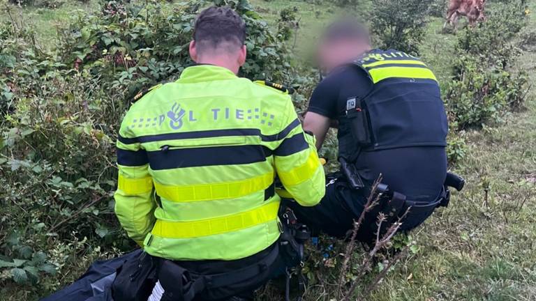 De jongen lag verstopt in een prikkelstruik (foto: Politie)