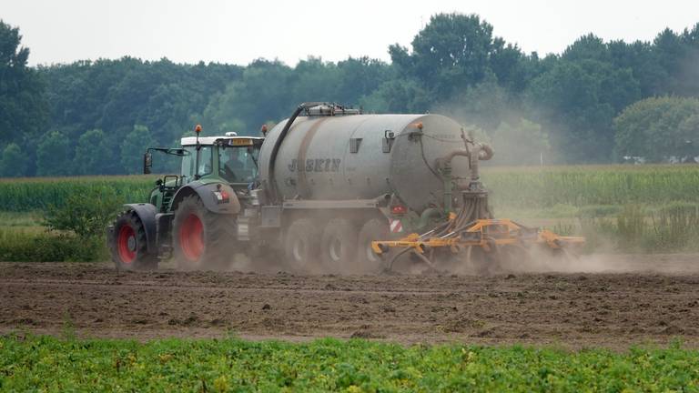 Nieuwe donderwolk voor de boeren: Brussel wil minder mest laten uitrijden