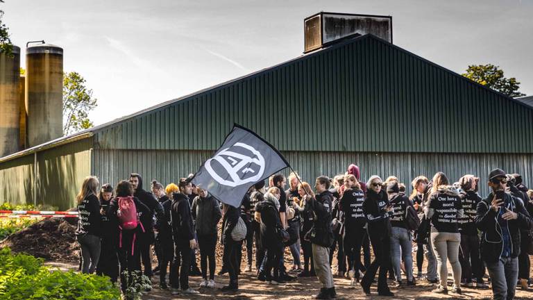 De varkensstal werd bezet door de activisten (Foto: Rob Engelaar)