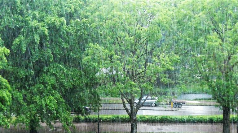 Zware regenval vandaag in Waalwijk. (Foto: Martha Kivits)