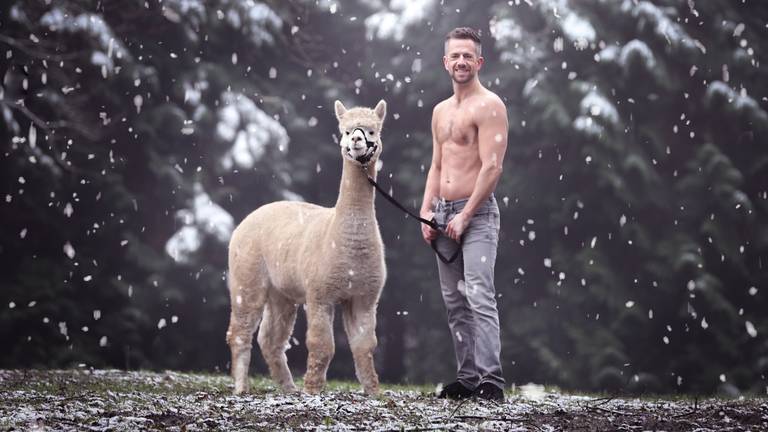 Pim Laros uit Boxmeer is Mister December op de Alpaca en Hunk kalender (foto: Alpha Farm Rouveen).
