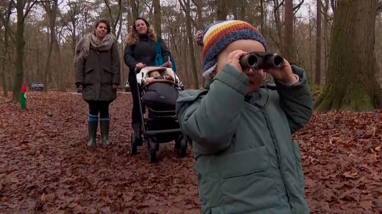 Extra vakantieweek, maar de Efteling is dicht: 'Dan maar de bossen in'