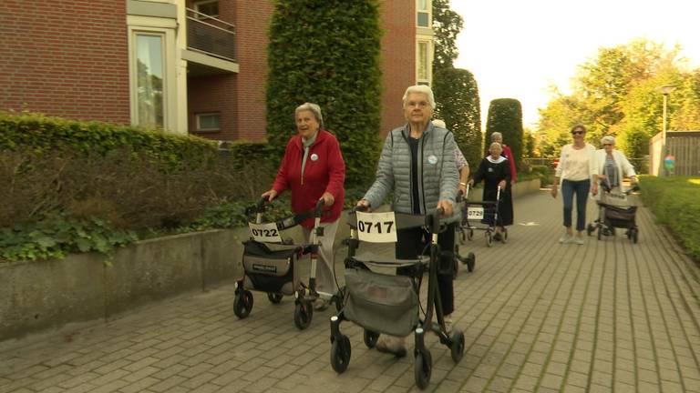 Deelnemers aan de rollatorloop in Zundert (foto: Raoul Cartens).