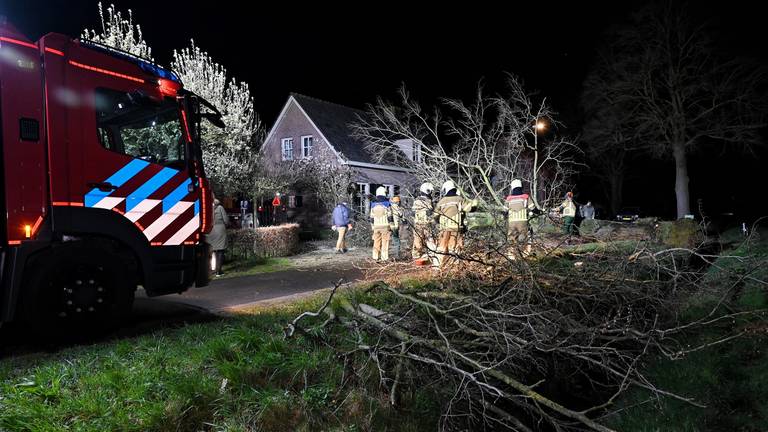 In Haaren is een boom omgevallen. Foto: Toby de Kort/SQ Vision.