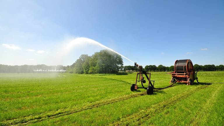 beregenen grasland foto Ben Saanen