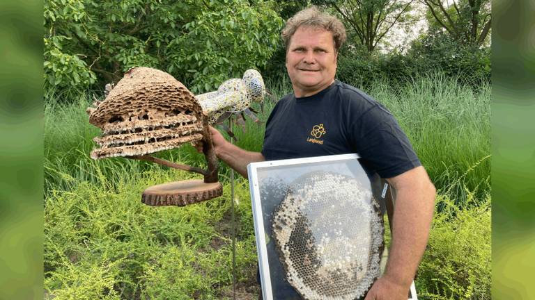 Kees met een schijf uit een eerder opgeruimd nest (foto: privé).