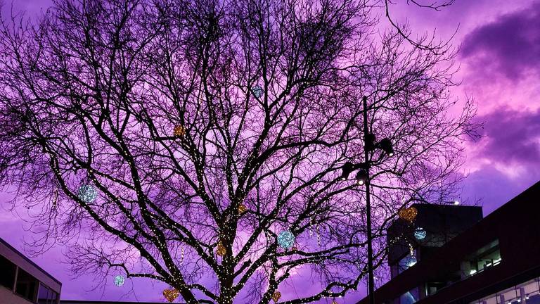 Paarse lucht in Uden (foto: Chantal Broeksteeg).