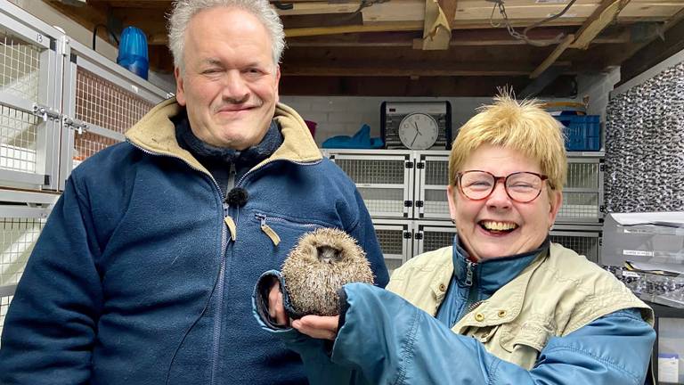 Dré en Conny Scheeres zijn dolblij met het nieuwe egelverblijf (foto: Erik Peeters).