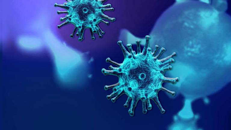 Coronavirus