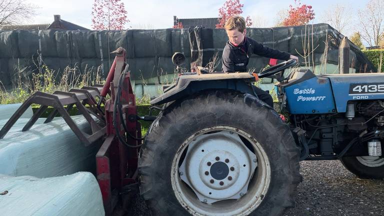 Siem werkt elke dag bij het paardenbedrijf van zijn buren (foto: Megan Hanegraaf).