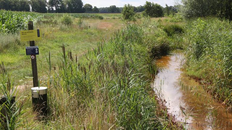 De Kleine Beerze ten zuiden van Vessem: een smalle en kronkelende beek.