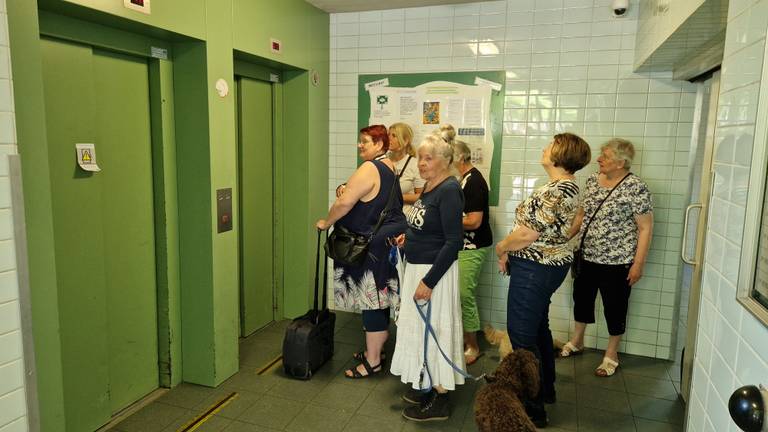 Kwartiertje wachten op de lift is geen uitzondering (foto: Noël van Hooft)