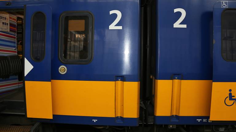 De dader werd in Breda uit de trein gehaald en zit nu in de cel (archieffoto: Karin Kamp).