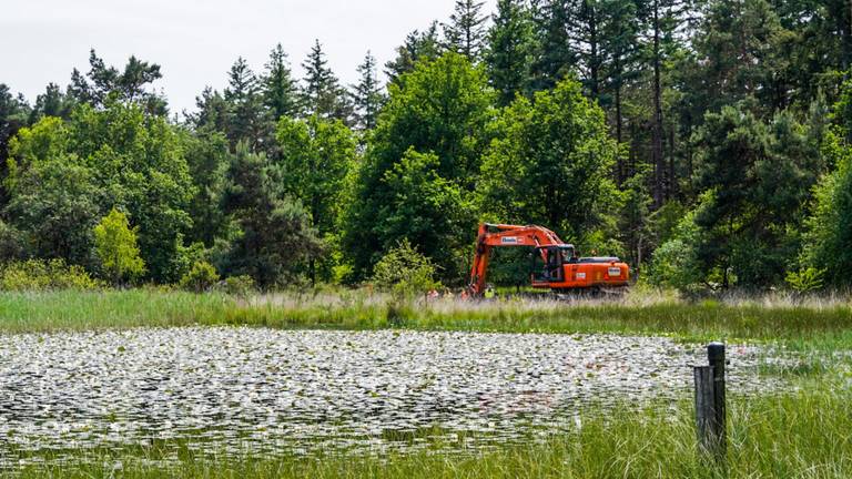 Zoeken op de Strabrechtse Heide (foto: Dave Hendrinks/SQ Vision).