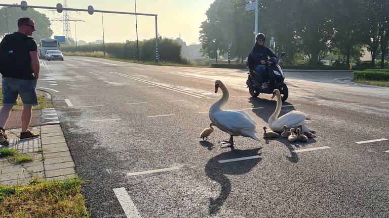 De familie had weinig haast (foto: Marijke Snel).