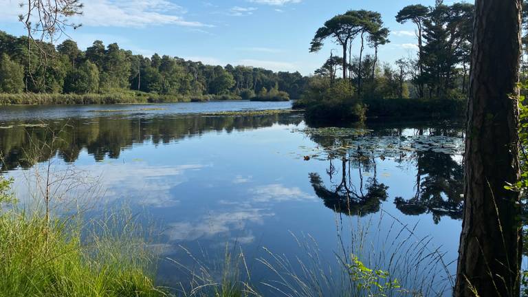 Natuurgebied Oisterwijkse bossen en vennen (foto Frans Kapteijns).