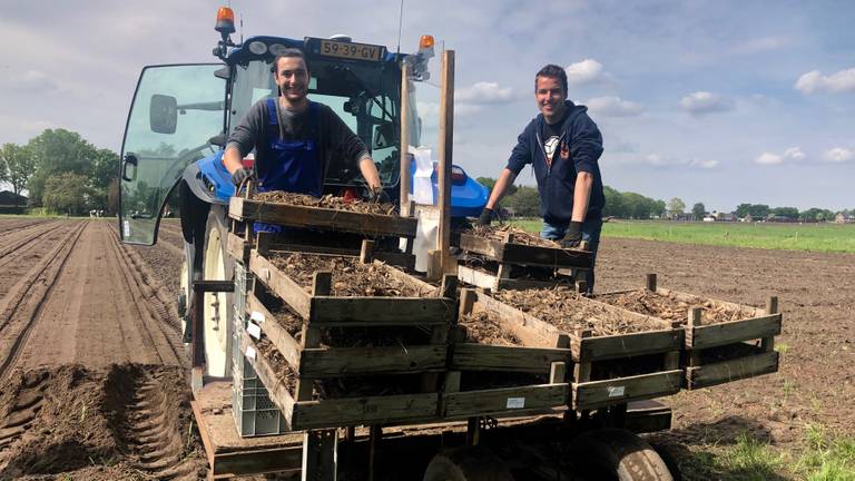 Wout en Wouter planten helemaal volgens de coronavoorschriften (foto: Tonnie Vossen)