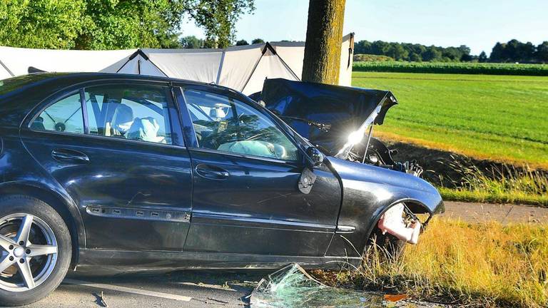 Een automobilist is donderdagavond om het leven gekomen bij een crash tegen een boom