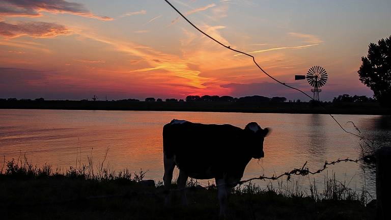 Foto: Lida Verkade