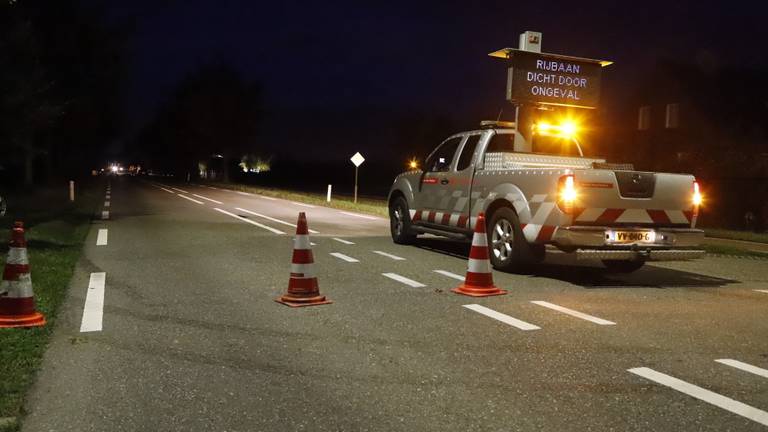 Drie pony's overleden na aanrijding door automobilisten op N264 bij Oeffelt