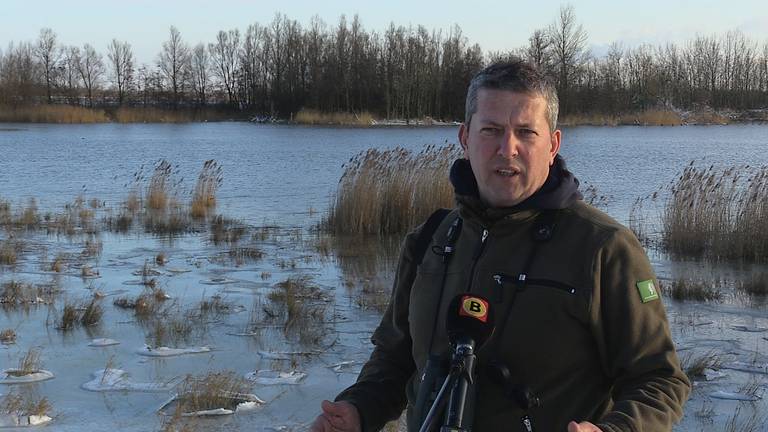 Harm Blom: 'Door de strenge vorst wordt een invasie van vogels verwacht in de Biesbosch'