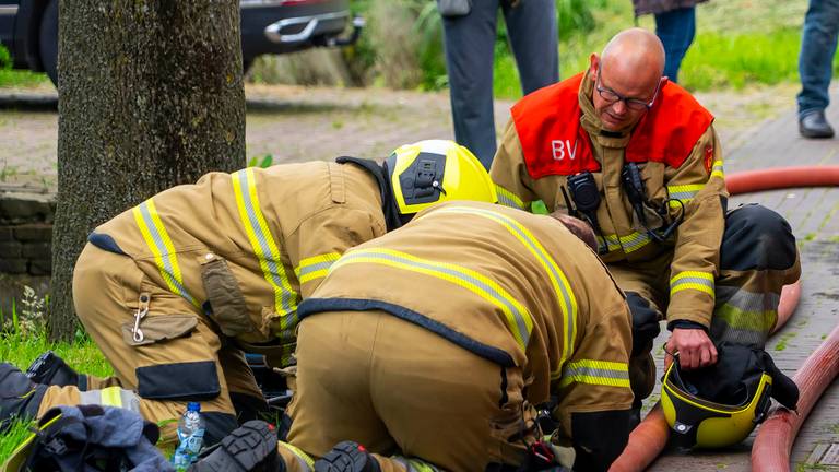 Kat overlijdt bij brand in huis, andere kat overleeft drama