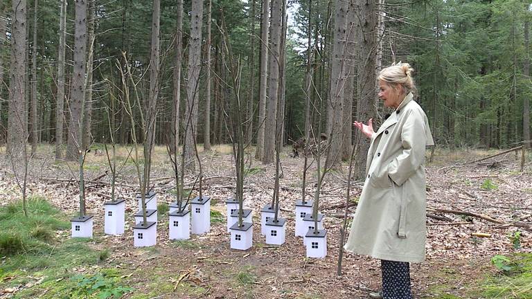 Kunstroute LandArt Brabant dit jaar in Wintelré