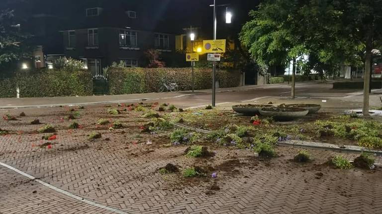 Al het groen werd uit de plantenbakken getrokken en op straat gegooid. (Foto: Politie)