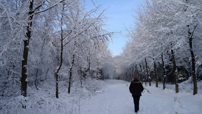 De sneeuw zou voor extra drukke gipskamers kunnen zorgen (archieffoto: Henk Voermans).