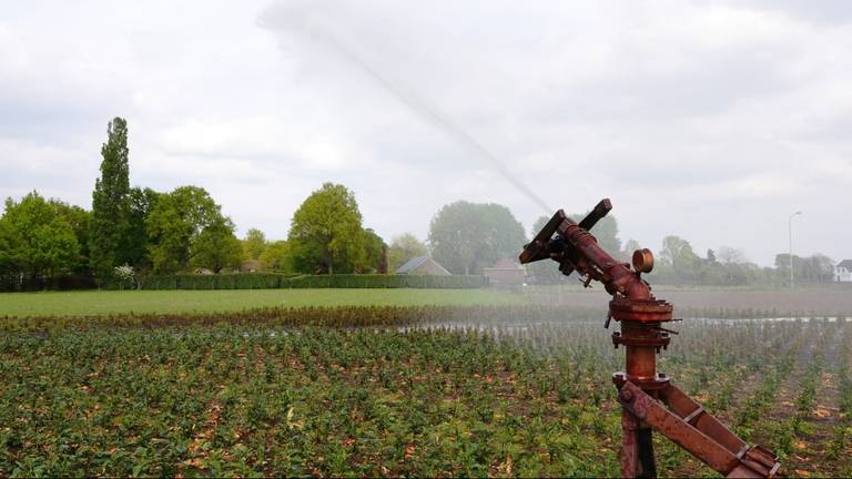 Beregenen wordt nog steeds aan banden gelegd (foto: Ben Saanen).