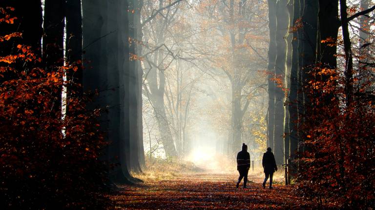 Foto: Yoka Buuron, Bergen op Zoom